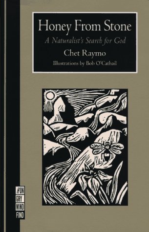 Imagen de archivo de The Romany Rye a la venta por Dan Pope Books