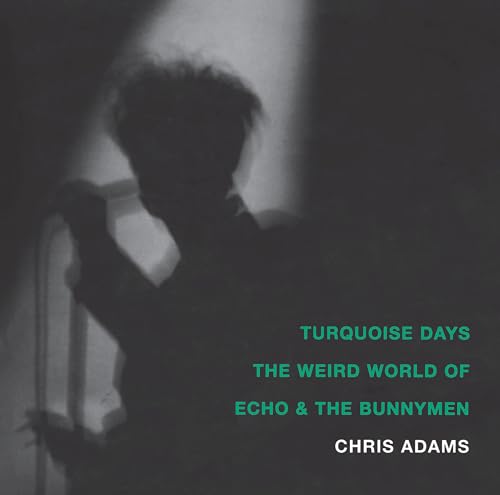 9781887128896: Turquoise Days: The Weird World of Echo and the Bunnymen