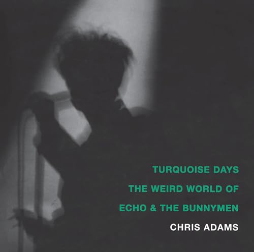 9781887128896: Turquoise Days: The Weird World of Echo & the Bunnymen