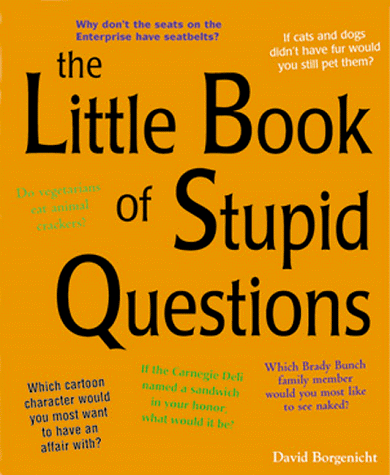 Beispielbild fr The Little Book of Stupid Questions: 300 Hilarious, Bold, Embarrassing, Personal, and Basically Pointless Queries zum Verkauf von HPB-Diamond