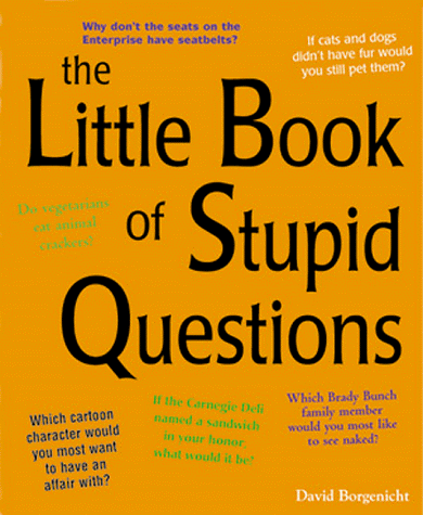 Stock image for The Little Book of Stupid Questions: 300 Hilarious, Bold, Embarrassing, Personal, and Basically Pointless Queries for sale by GF Books, Inc.