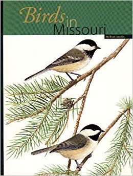 Beispielbild fr Birds in Missouri zum Verkauf von Affordable Collectibles