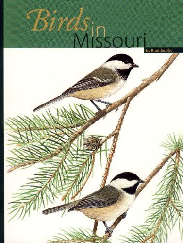 Beispielbild fr Birds in Missouri zum Verkauf von Read&Dream
