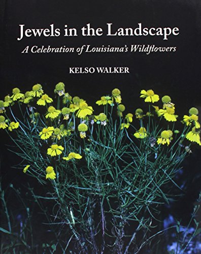 Stock image for Jewels in the Landscape : A Celebration of Louisiana's Wildflowers for sale by Better World Books: West