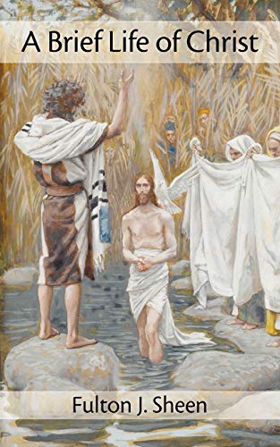 Imagen de archivo de A Brief Life of Christ a la venta por Off The Shelf