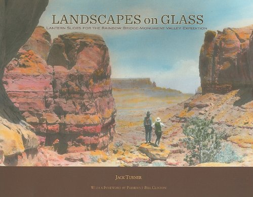 Imagen de archivo de Landscapes on Glass a la venta por Nathan Groninger