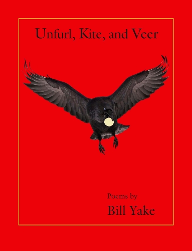 Unfurl, Kite, and Veer (9781887853316) by Bill Yake