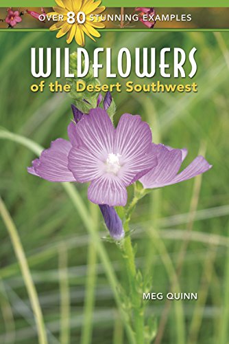 Beispielbild fr Wildflowers of the Desert Southwest zum Verkauf von SecondSale