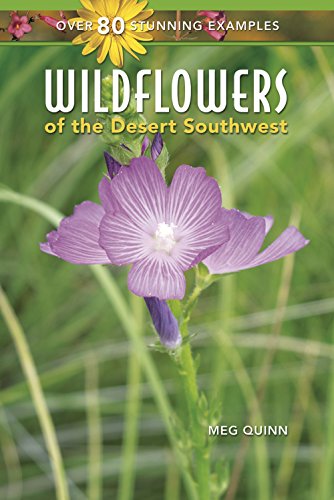 Stock image for Wildflowers of the Desert Southwest for sale by SecondSale