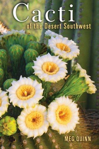 Imagen de archivo de Cacti of the Desert Southwest a la venta por SecondSale