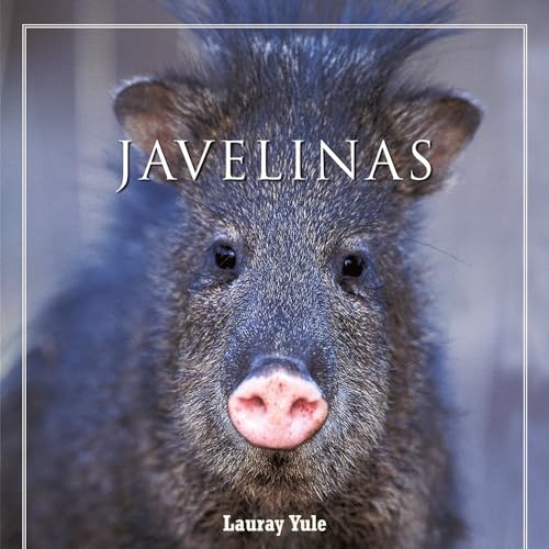 Imagen de archivo de Javelinas (Look West Series) a la venta por Jenson Books Inc