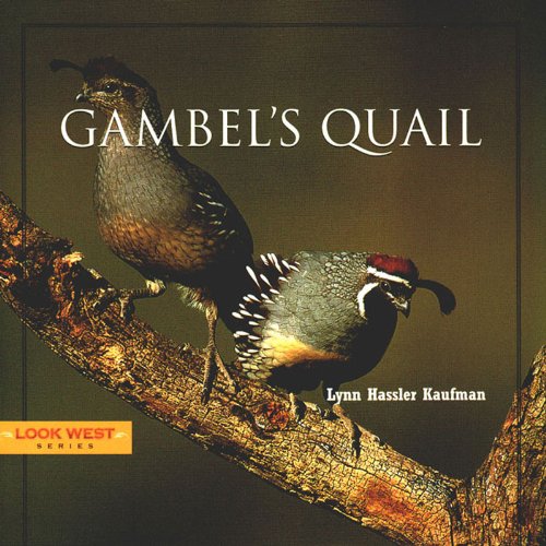 Imagen de archivo de Gambels Quail (Look West Series) a la venta por Hawking Books