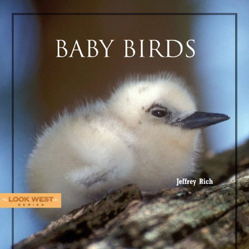 9781887896702: Baby Birds (Look West)