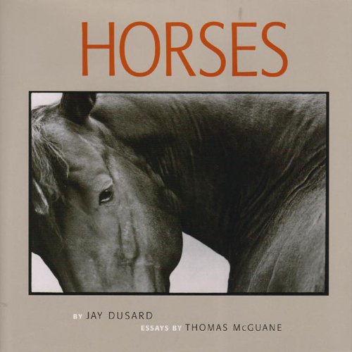 Imagen de archivo de Horses a la venta por HPB-Diamond