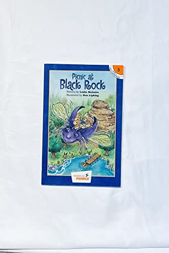 Beispielbild fr Picnic At Black Rock zum Verkauf von BooksRun