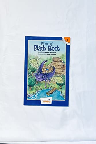 Imagen de archivo de Picnic At Black Rock a la venta por Jenson Books Inc