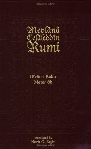 9781887991094: Divan-I-Kebir Meter 8b