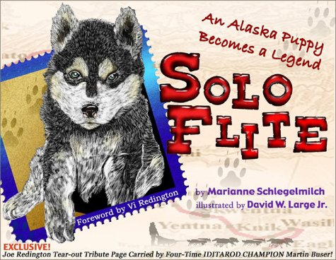 Imagen de archivo de SoloFlite a la venta por ThriftBooks-Atlanta