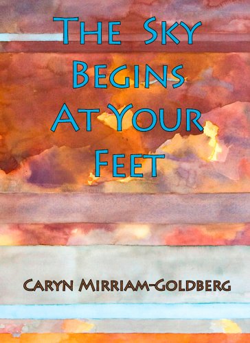 Stock image for The Sky Begins at Your Feet for sale by Better World Books