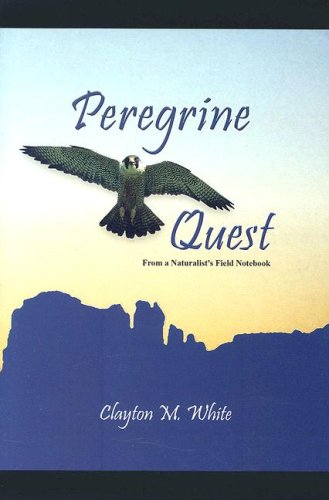 Beispielbild fr Peregrine Quest: From a Naturalist's Field Notebooks zum Verkauf von ThriftBooks-Dallas