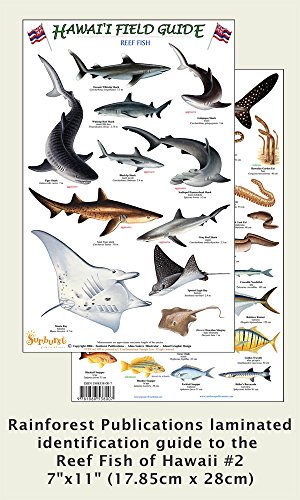 Stock image for Hawaii Reef Fish #2 Identification Guide (Laminated Single Sheet Field Guide (English and Spanish Edition) for sale by GF Books, Inc.