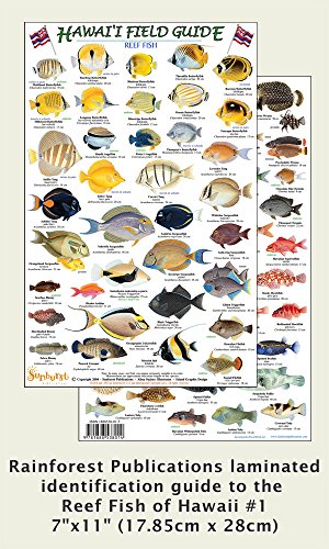 9781888538014: Hawaii Reef Fish #1 Identification Guide (Laminated Single Sheet Field Guide)