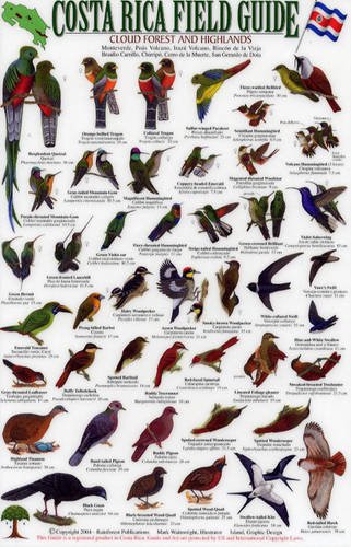 9781888538083: Birds of the Cloud Forest and Highlands (Costa Rica Field Guides S.)