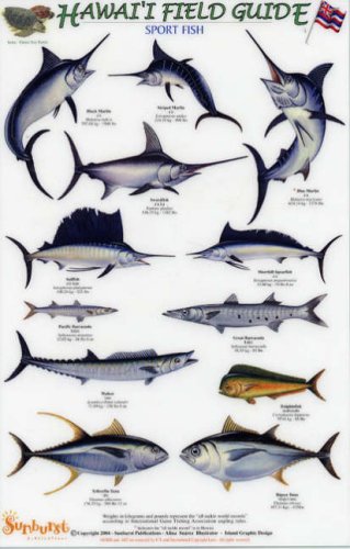 Sport Fish (Hawaii Field Guides S.) - Suarez, Alina: 9781888538090 -  AbeBooks