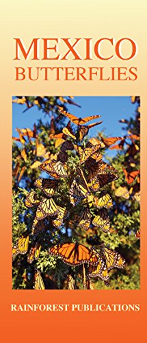 Mexico Pacific Coast Butterflies Identification Guide (Laminated Foldout Pocket Field Guide) (9781888538106) by Rainforest Publications