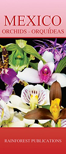 Stock image for Mexico Orchids - all regions (Laminated Foldout Pocket Field Guide) (Mexico Field Guides) (English and Spanish Edition) for sale by Book Deals