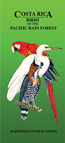 Stock image for Costa Rica Pacific Rain Forest Bird Guide (Laminated Foldout Pocket Field Guide) (Tropical Wildlife Field Guide) (English and Spanish Edition) for sale by HPB-Diamond