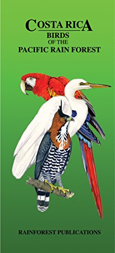 9781888538229: Costa Rica Pacific Rain Forest Bird Guide (Laminated Foldout Pocket Field Guide) (Tropical Wildlife Field Guide) (English and Spanish Edition)