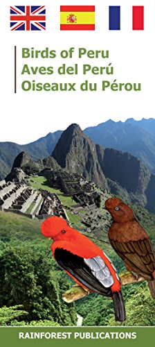 Stock image for Peru Birds (Laminated Foldout Pocket Field Guide) (English and Spanish Edition) for sale by GF Books, Inc.