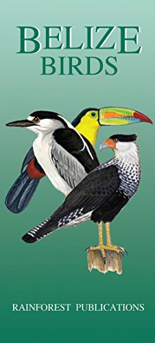 Stock image for Belize Bird Guide (Laminated Foldout Pocket Field Guide) (English and Spanish Edition) for sale by Austin Goodwill 1101