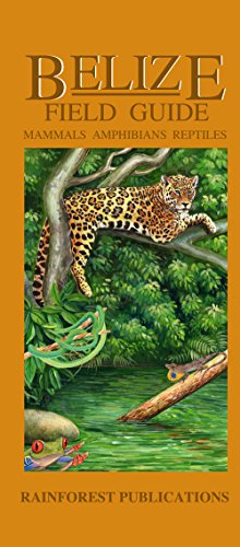 Stock image for Belize Wildlife Guide - Mammals, Reptiles, Amphibians (Laminated Foldout Pocket Field Guide) (English and Spanish Edition) for sale by GF Books, Inc.