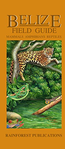 9781888538892: Belize Wildlife Guide - Mammals, Reptiles, Amphibians (Laminated Foldout Pocket Field Guide) (English and Spanish Edition)