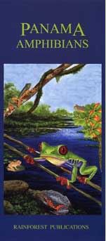 9781888538939: Panama Amphibians Field Guide (Laminated Foldout Pocket Field Guide) (English and Spanish Edition)