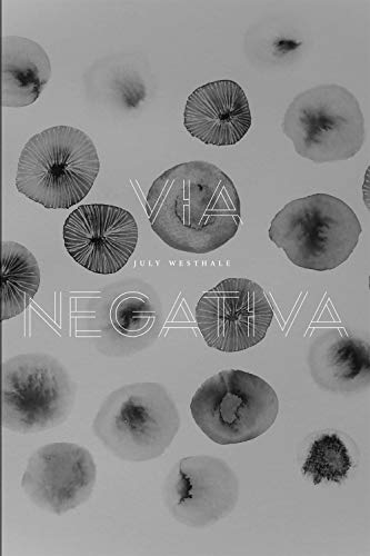 Stock image for Via Negativa for sale by ThriftBooks-Atlanta