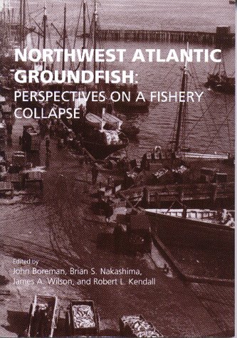 Stock image for Northwest Atlantic Groundfish: Perspectives on a Fishery Collapse for sale by ThriftBooks-Atlanta