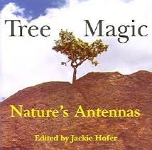 Beispielbild fr Tree Magic : Nature's Anennas zum Verkauf von SecondSale