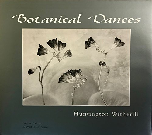 Imagen de archivo de Botanical Dances a la venta por Big River Books