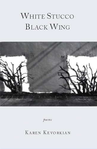 Stock image for White Stucco Black Wing for sale by George Cross Books