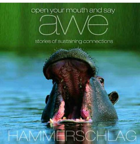 Stock image for Open Your Mouth and Say Awe: Stories of Sustaining Connections for sale by HPB Inc.