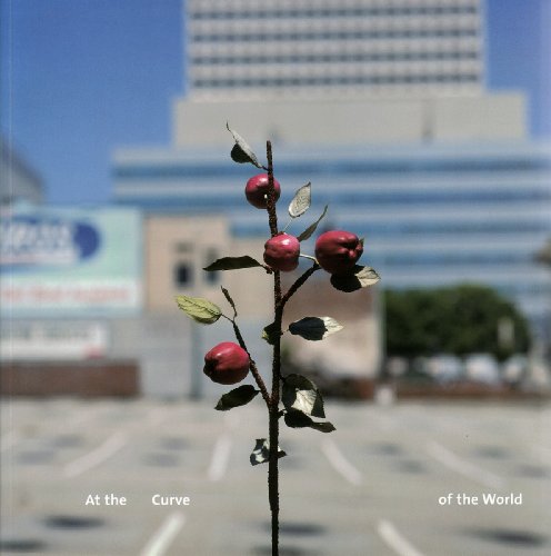 Imagen de archivo de At the Curve of the World a la venta por Bookmans