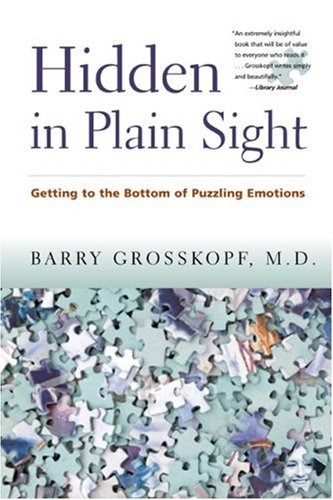 Beispielbild fr Hidden in Plain Sight : Getting to the Bottom of Puzzling Emotions zum Verkauf von Better World Books