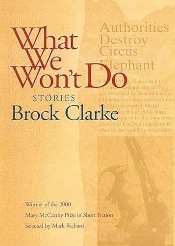 9781889330679: What We Won't Do: Stories