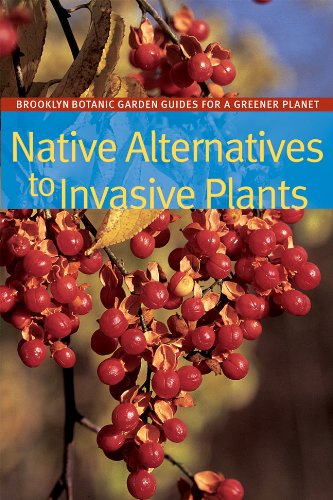 Native Alternatives to Invasive Plants (9781889538778) by Burrell, C. Colston