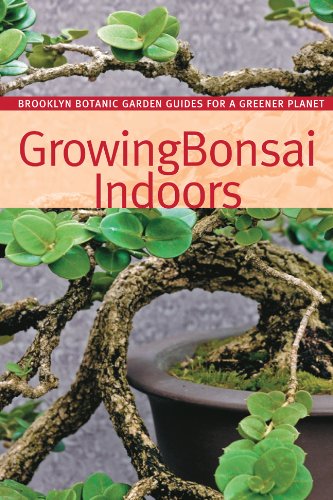 9781889538792: Growing Bonsai Indoors