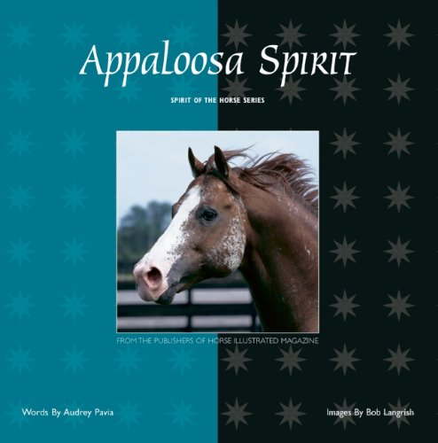 Stock image for Appaloosa Spirit (Spirit of the Horse) for sale by Once Upon A Time Books