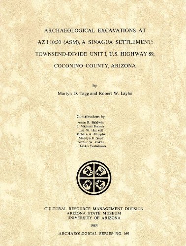 Imagen de archivo de Archaeological Excavations at AZ I:10:30 (ASM), A a la venta por N. Fagin Books